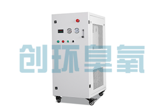 辽宁石斑鱼养殖水质调控完整指南：臭氧发生器配置与操作步骤