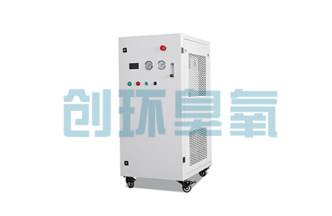 辽宁比传统换水更高效？臭氧发生器在石斑鱼养殖中的水质净化原理解析